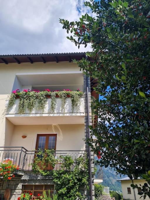 Ferienwohnung Ca Dell'Agrifoglio Crodo Exterior foto